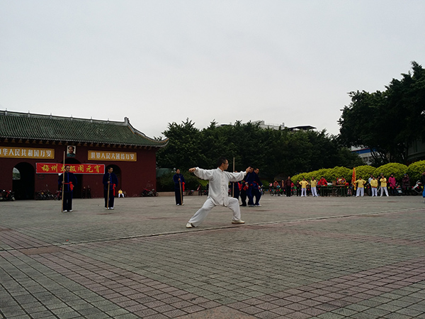 拳照