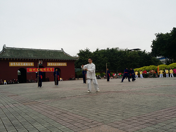 拳照