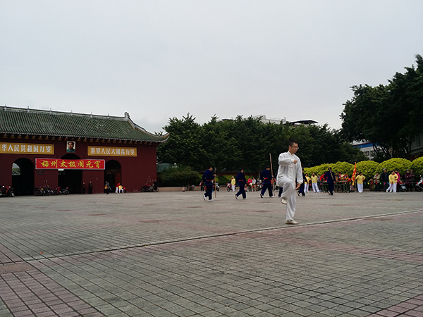 拳照