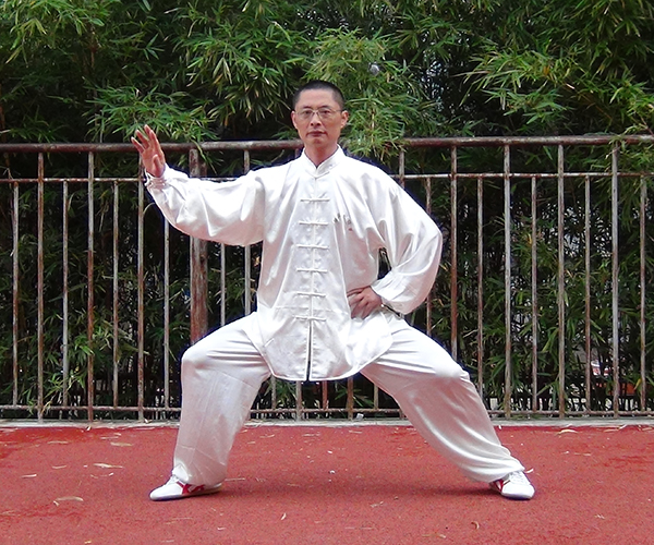 拳照