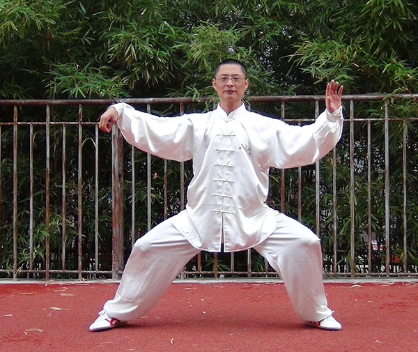 拳照