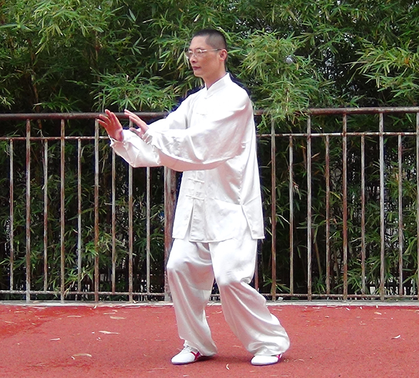 拳照