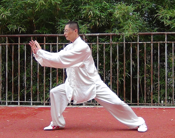 拳照