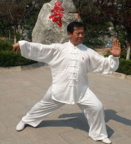 拳照