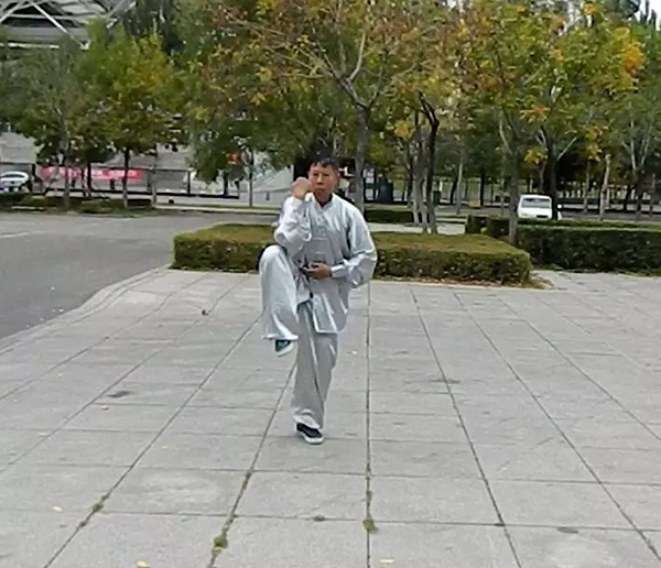 拳照