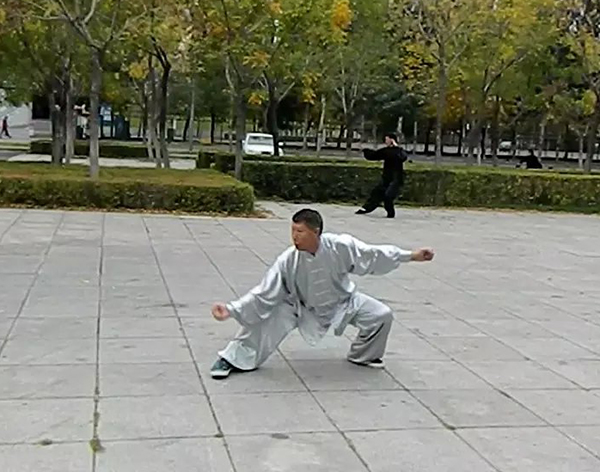 拳照