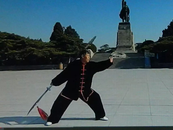 拳照