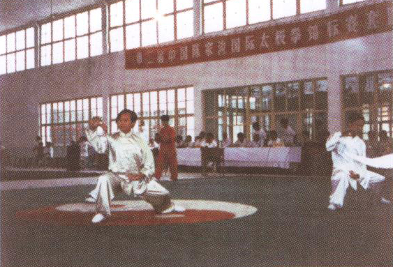 1996年参加第二届中国陈家沟国际太极拳锦标赛在比赛中