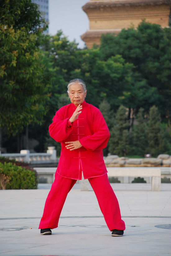拳照
