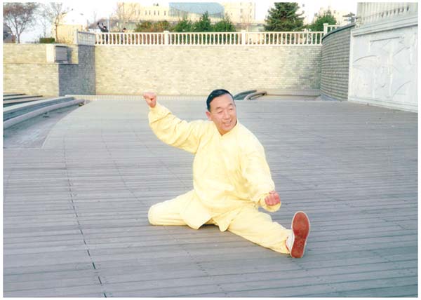 拳照