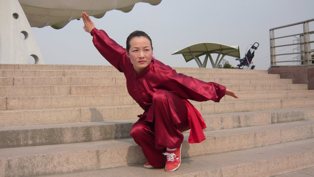 拳照