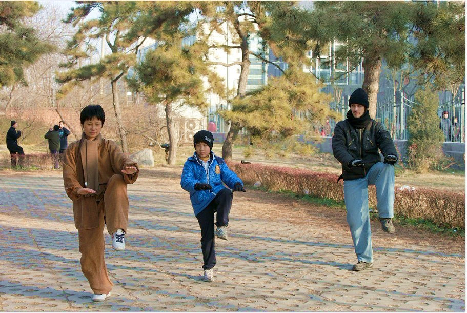 拳照