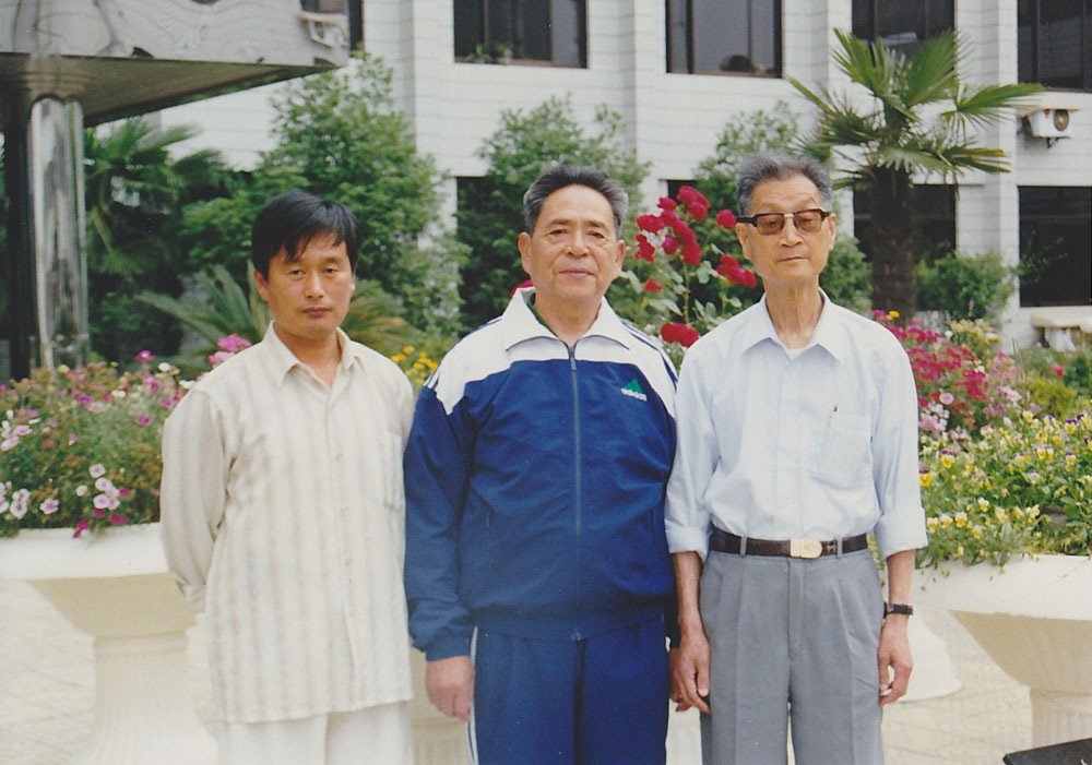 拳照