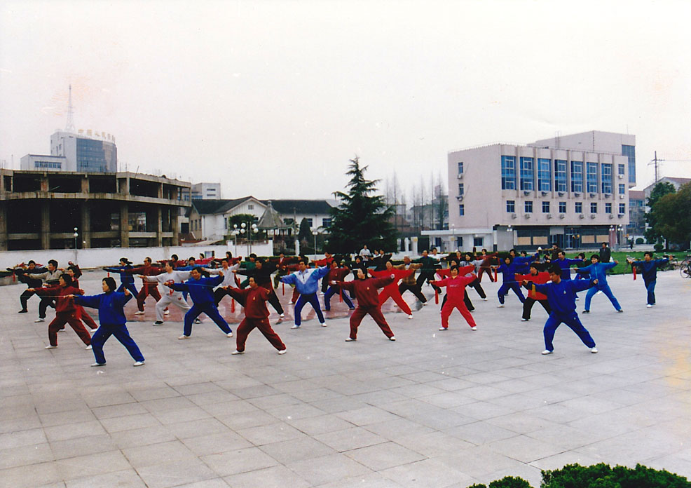 拳照