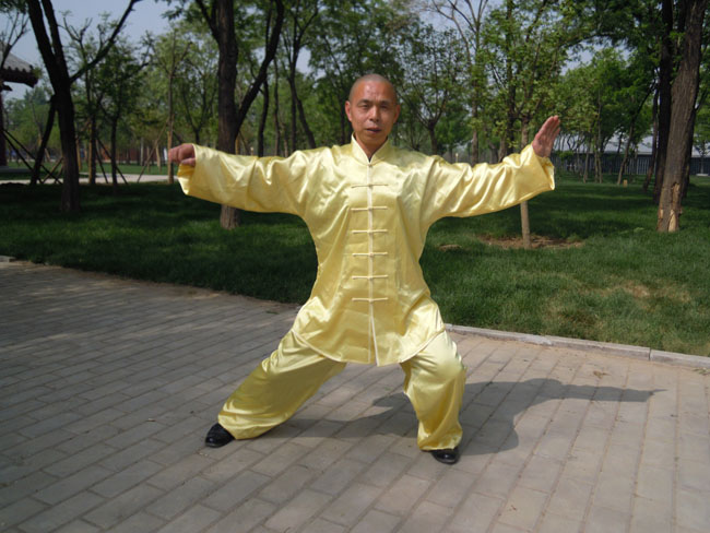 拳照