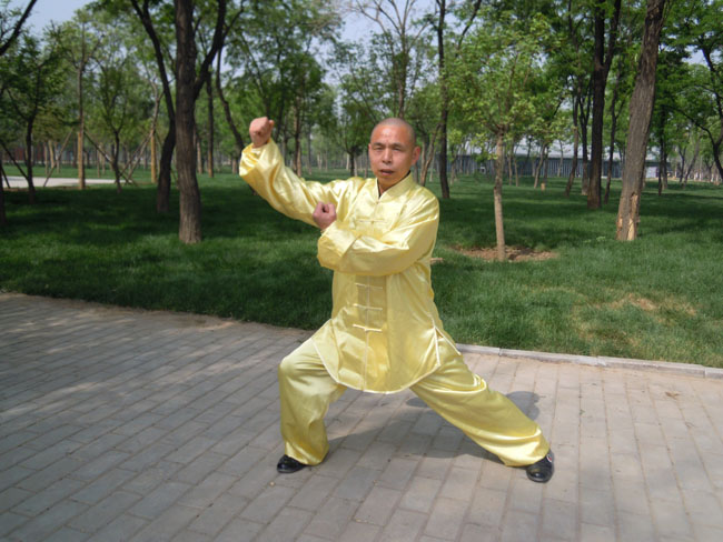拳照