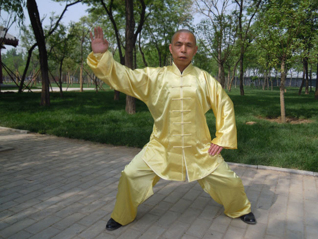 拳照