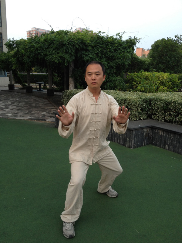 拳照