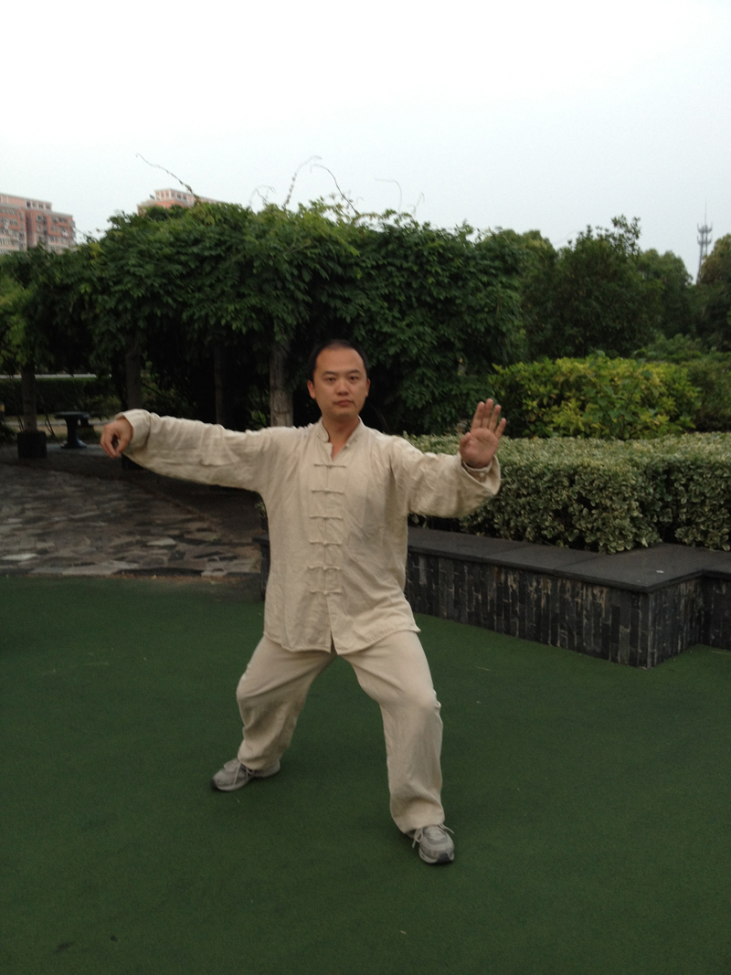 拳照