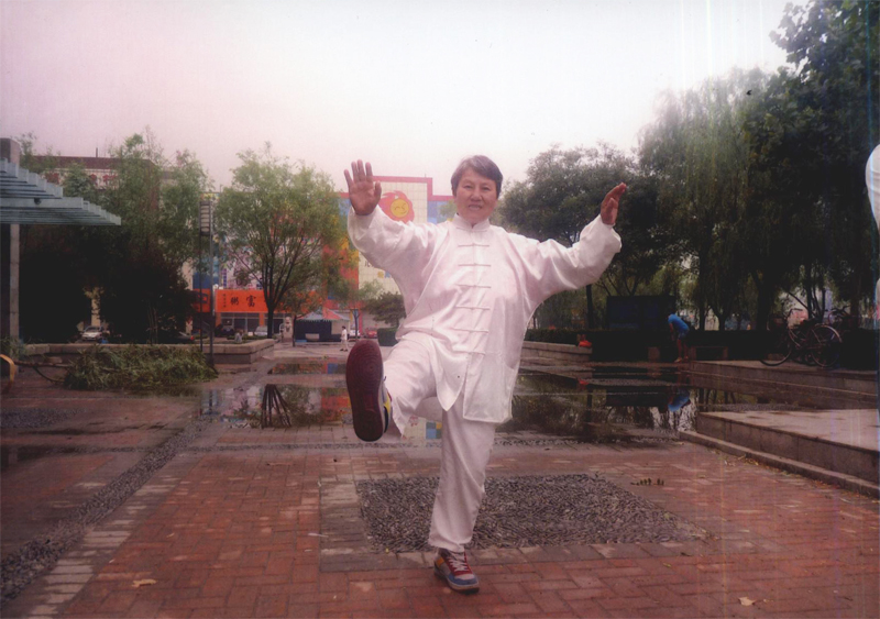 拳照