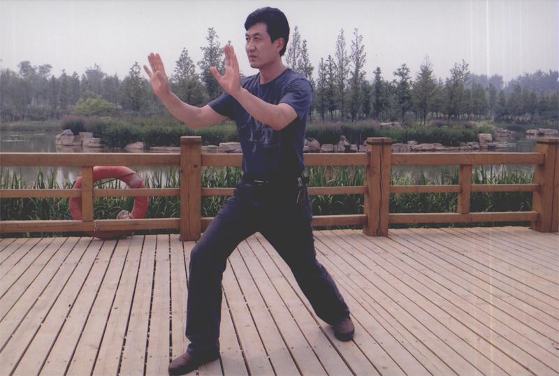 拳照