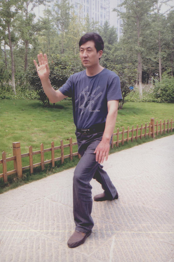 拳照