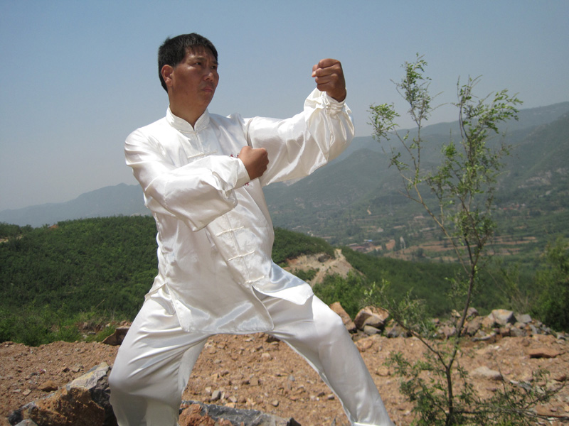 拳照