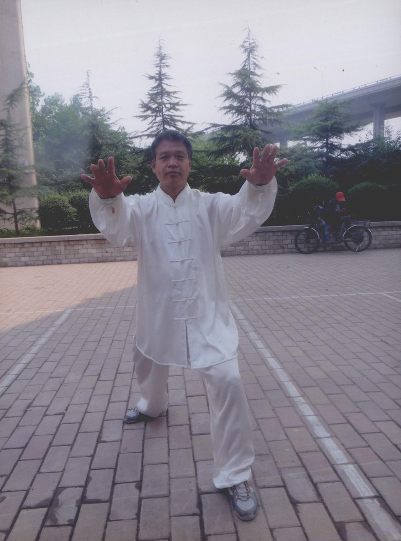 拳照