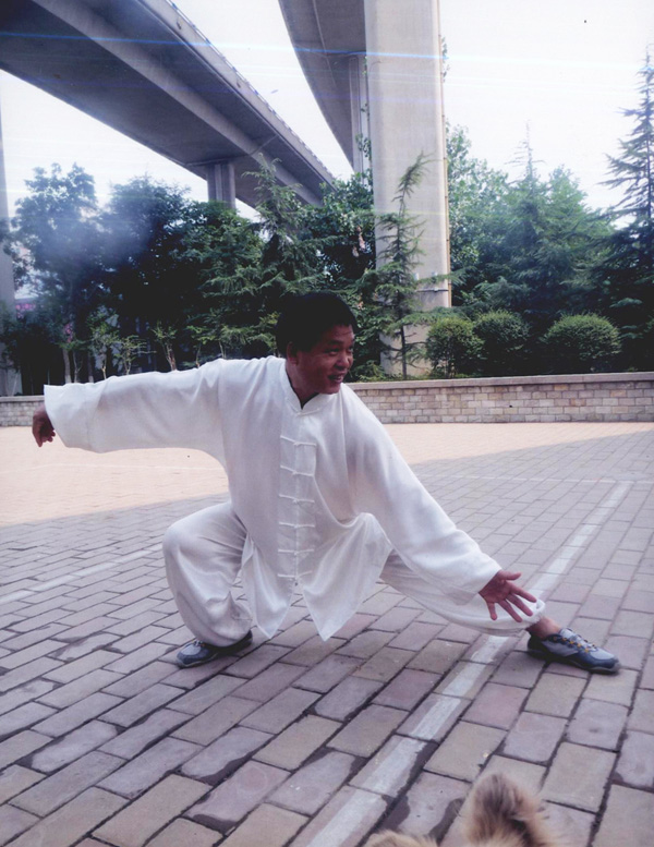 拳照