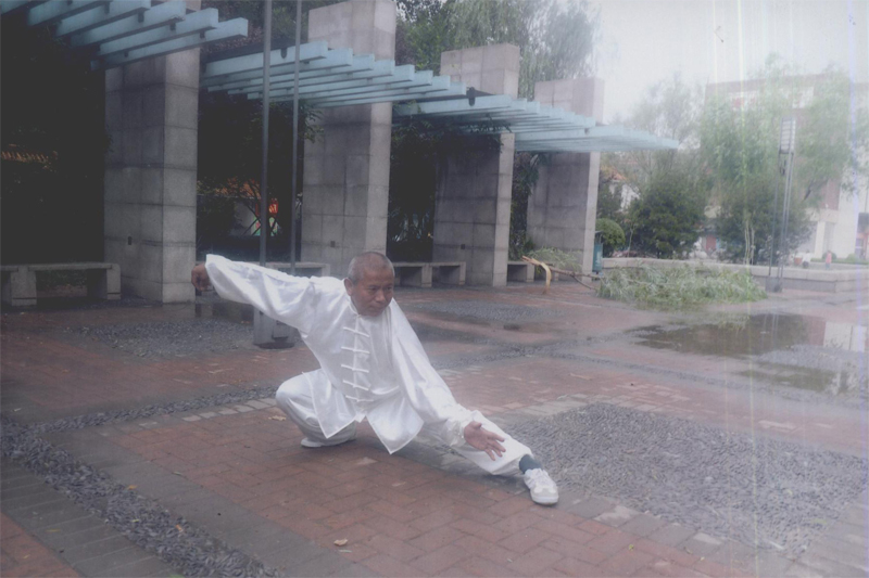 拳照
