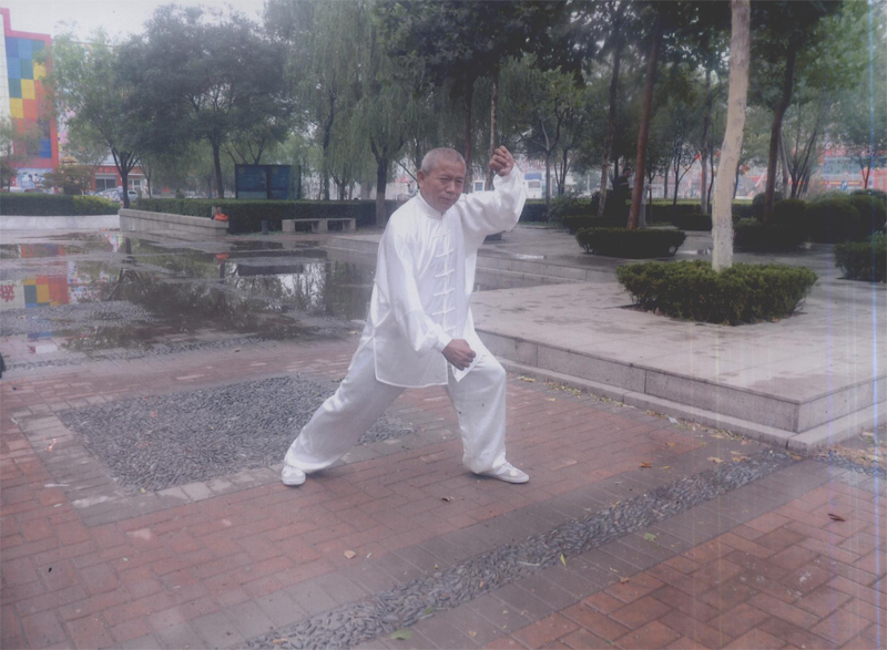 拳照