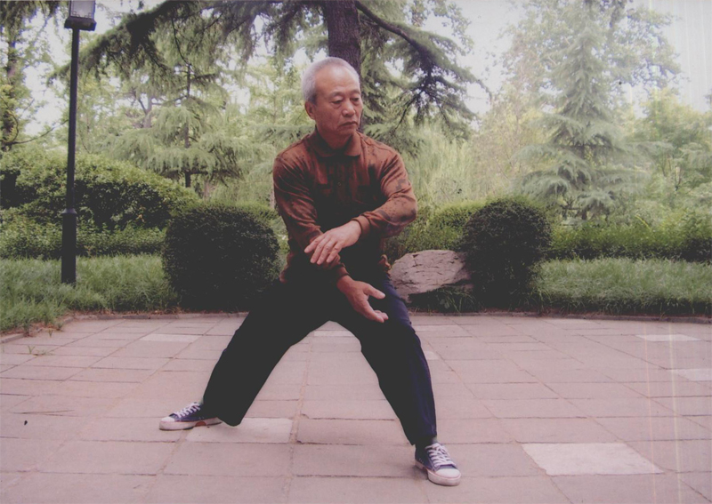 拳照
