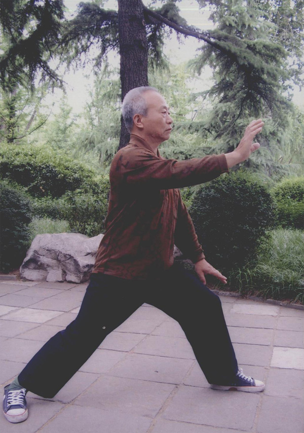拳照
