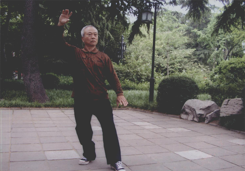 拳照