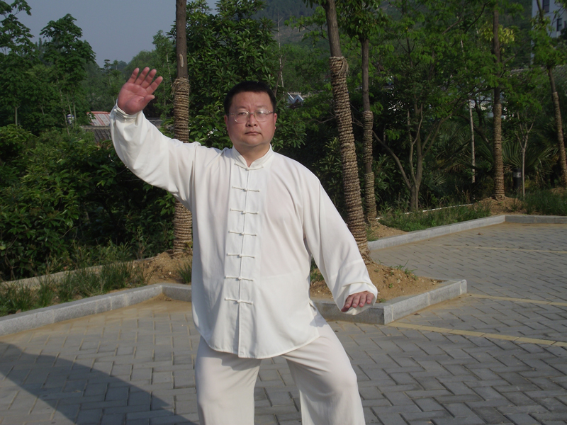 拳照