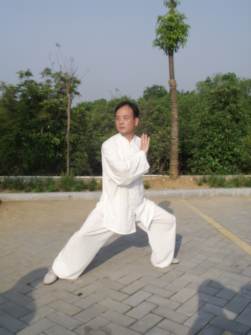拳照
