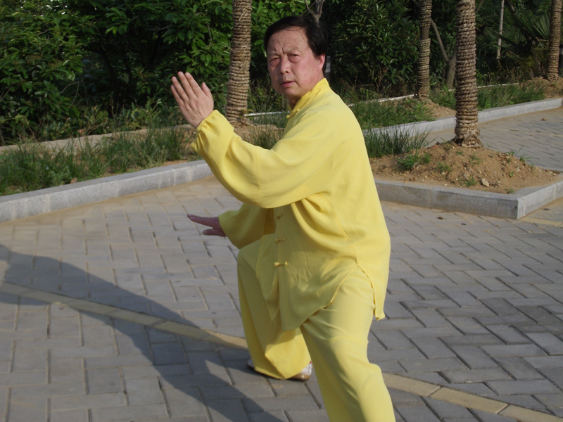 拳照