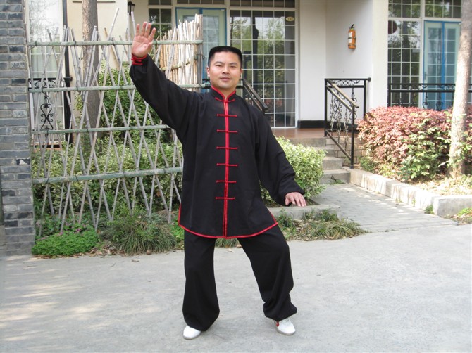 拳照