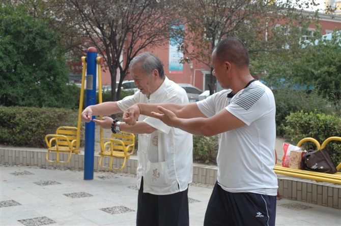 拳照
