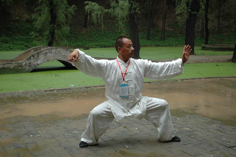 拳照