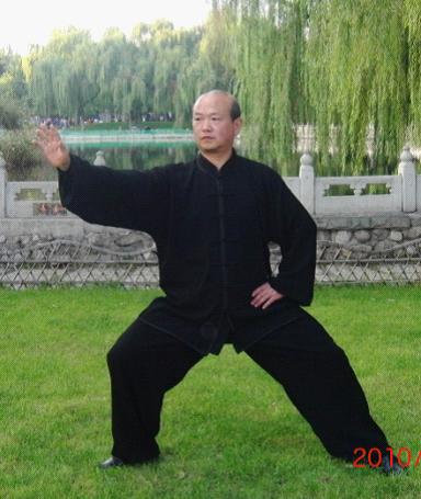 拳照