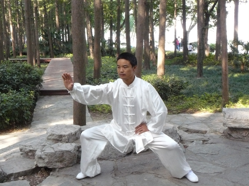 拳照