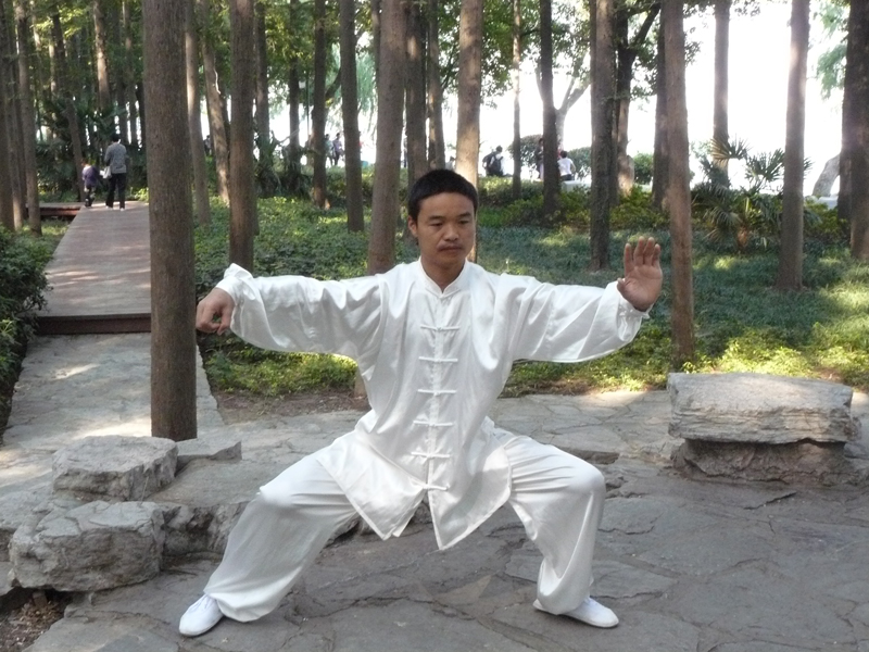 拳照