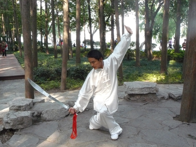 拳照