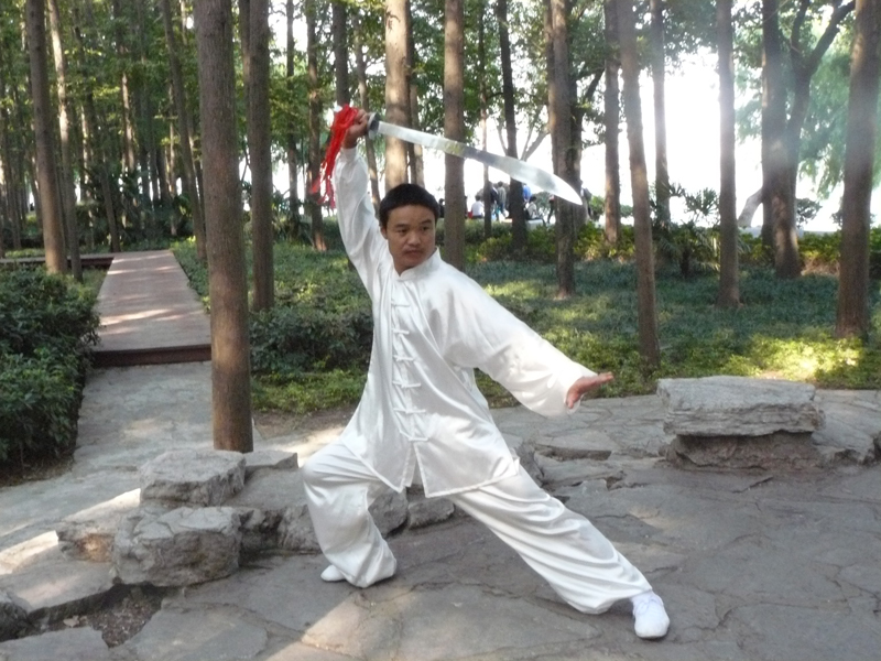 拳照
