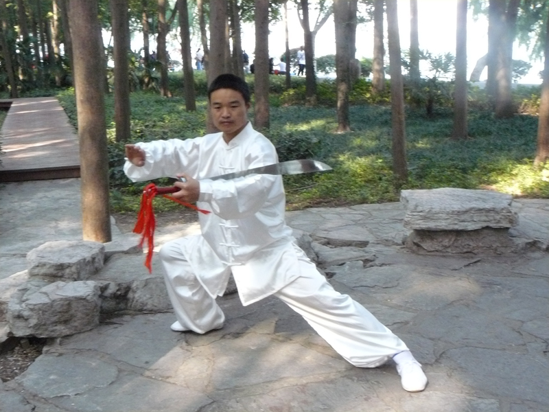 拳照