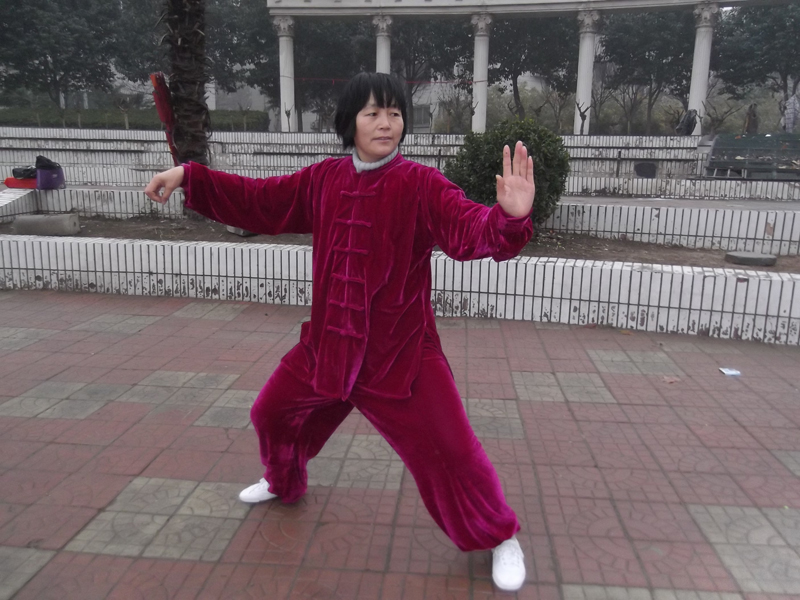 拳照