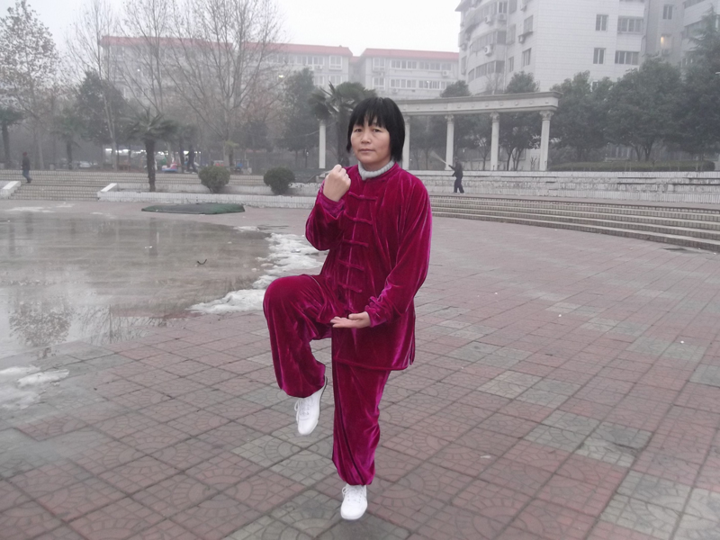 拳照