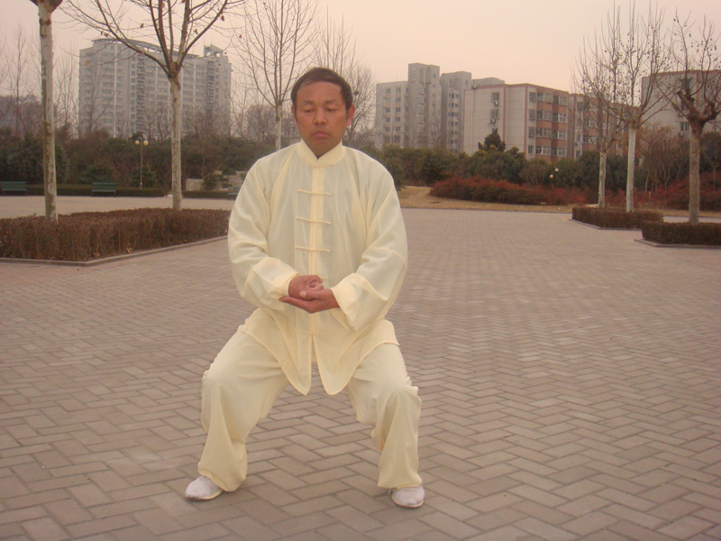 拳照