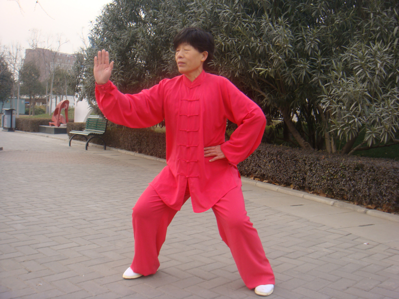 拳照
